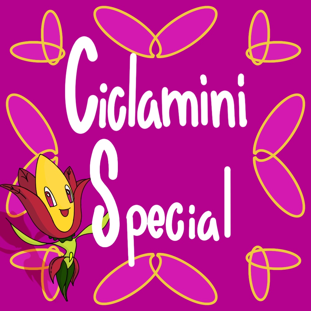 Ciclamini Special